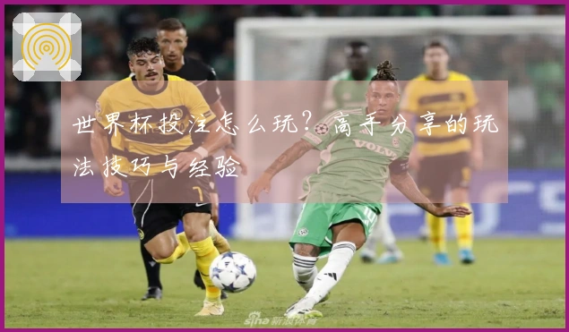 世界杯投注怎么玩？高手分享的玩法技巧与经验