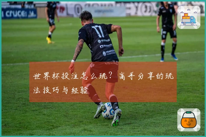 世界杯投注怎么玩？高手分享的玩法技巧与经验