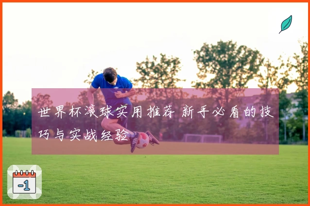 世界杯滚球实用推荐 新手必看的技巧与实战经验