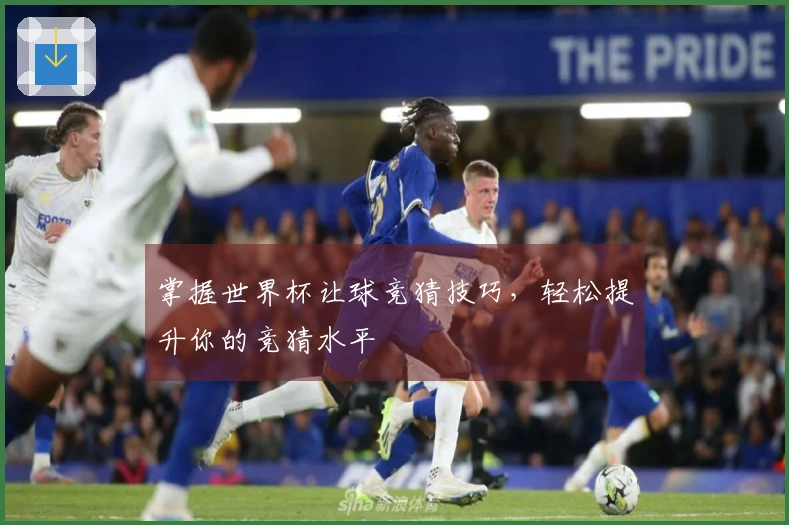 掌握世界杯让球竞猜技巧，轻松提升你的竞猜水平