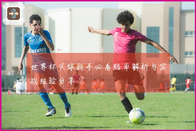 世界杯买球新手必看赔率解析与实战经验分享